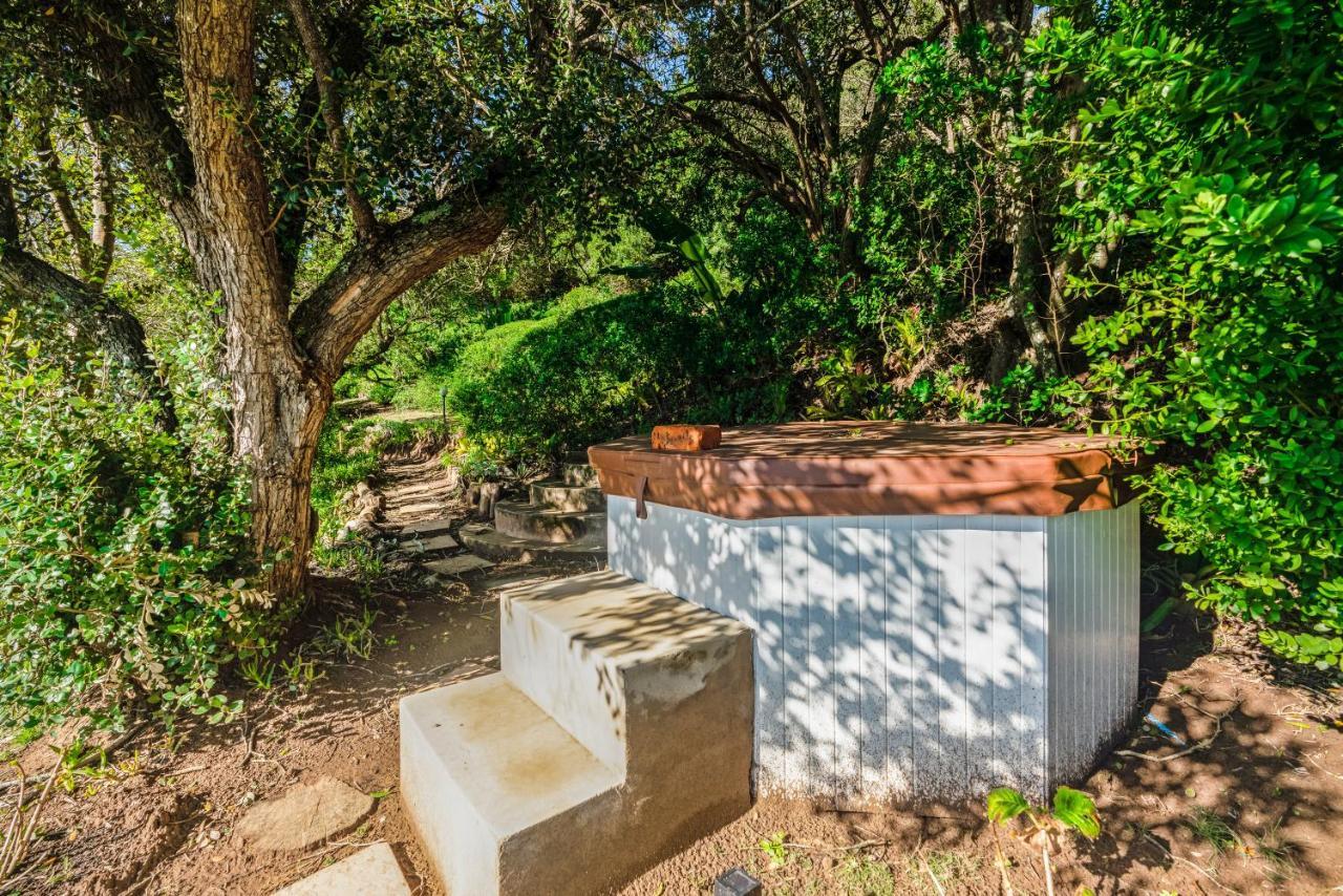 Ferienwohnung Coney Glen Penthouse Knysna Exterior foto